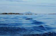 Varen op de zee in Noorwegen van Margreet Frowijn thumbnail
