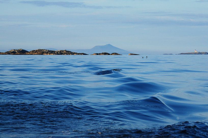 Varen op de zee in Noorwegen van Margreet Frowijn