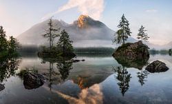 Das Erwachen der Natur