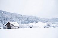 De Chartreuse in Frankrijk in de winter van Rosanne Langenberg thumbnail
