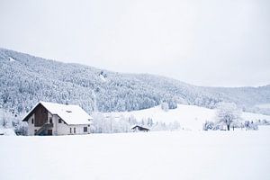 De Chartreuse in Frankrijk in de winter sur Rosanne Langenberg