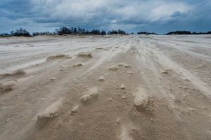 Tempête - Dunes de Loonse et Drunense sur Laura Vink