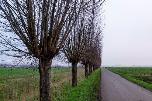 Ooijpolder 2