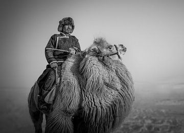 Boer en zijn kameel, Irene Yu Wu van 1x