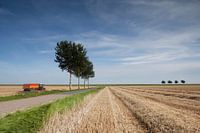 Polder