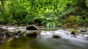 Der Fluss Odet in der Bretagne