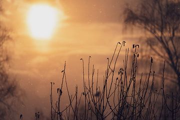 romantische zonsopgang met sneeuwvlokken en grasstengels op de voorgrond van chamois huntress