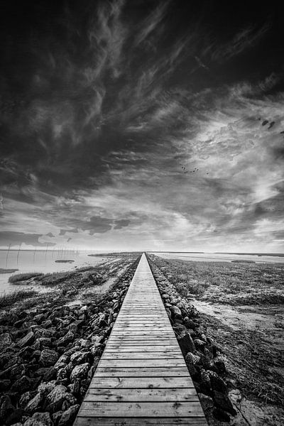The Endless Boardwalk – Black and White Perspective by the Sea by Thorsten Güttes / 25pictures
