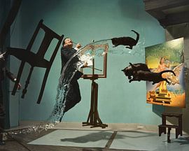 "Dali Atomicus", Salvador Dali 1948 van Colourful History