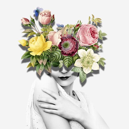 Shadowed - Light Background