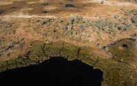 Okavangodelta