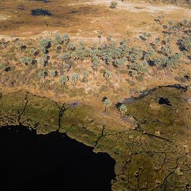 Okavangodelta van paul snijders