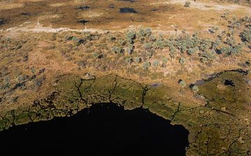 Okavangodelta van paul snijders