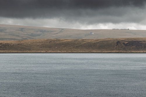 Regentag See, La Godivelle, Frankreich von Imladris Images