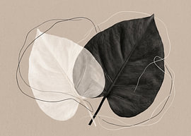 Contraste dans les feuilles – Œuvre d'art botanique moderne sur Julian Cross