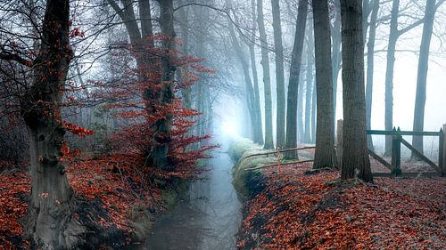 Das alte Kriegsrecht in Rechteren