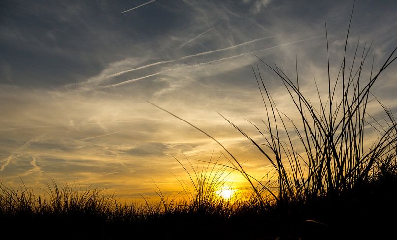Sunset in sand dunes at the beach by Marcel van den Bos