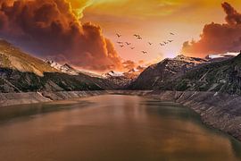 Stille vleugels boven de vurige hemel