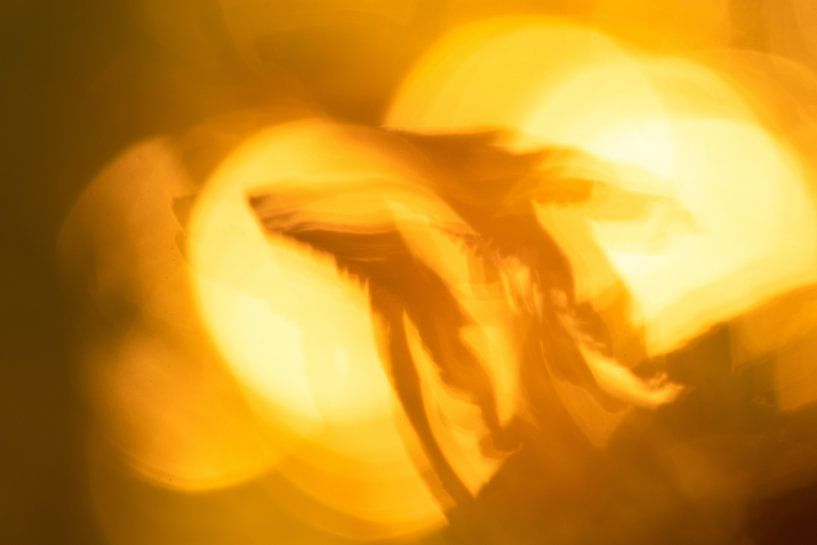 Champignon magique abstrait par peterheinspictures