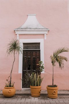 Mexico Valladolid | Voordeur| Planten | Calzada de los Frailes van Roanna Fotografie