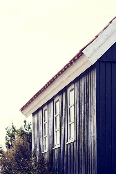 Dänisches Ferienhaus in seitlicher Detailansicht von Michael Moser