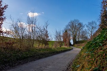 Typische holle weg in het Heuveland in het voorjaar in Mechelen, Limburg van Kim Willems