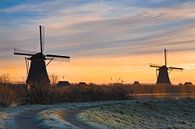 Windmühlen von Kinderdijk, Niederlande von Peter Bolman Miniaturansicht