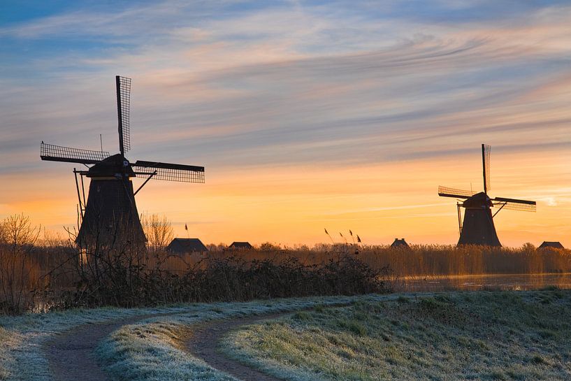 Windmühlen von Kinderdijk, Niederlande von Peter Bolman