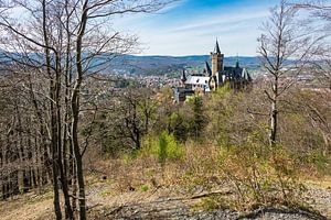Castle in Wernigerode sur Rico Ködder