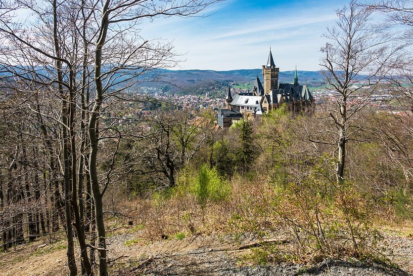 Blick auf das Schloß Wernigerode im Harz par Rico Ködder