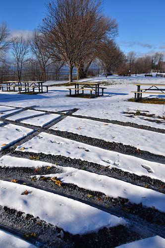 Sporen in het park in de herfst