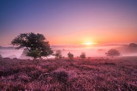 Sunrise on the Posbank by Niels Barto