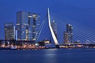 Erasmusbrücke - Rotterdam von David Bleeker Miniaturansicht