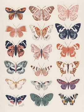 Butterflies by IamHome Studio
