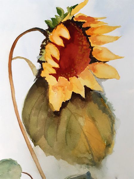 Zonnebloem. van Jose Leeuwis