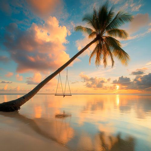 Palmboom op het strand