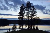 Silence van Corinne Alferink thumbnail