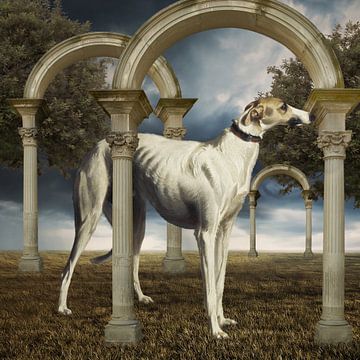 The Greyhound van Marja van den Hurk