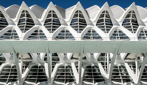 City of Arts and Sciences, Valencia