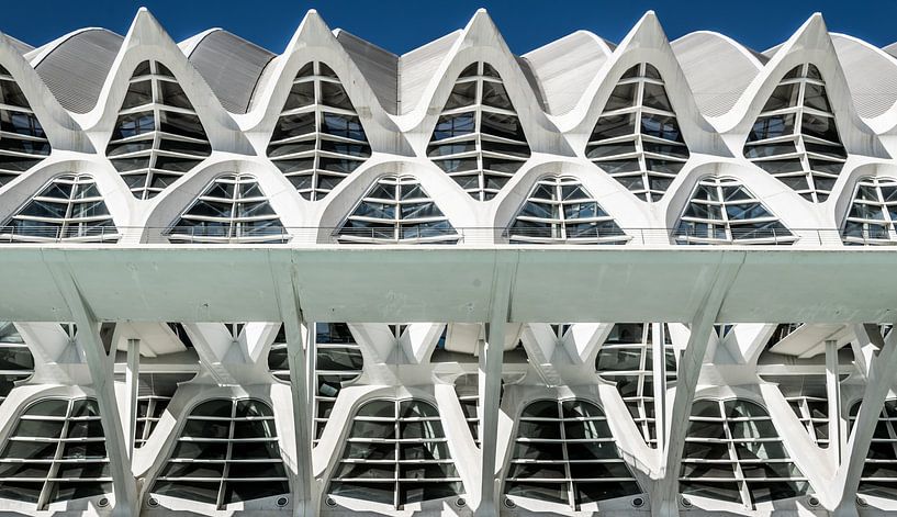 Ville des Arts et des Sciences, Valence par Stefan Vlieger