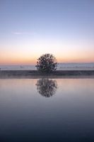 Foggy tomorrow at a canal in the Netherlands