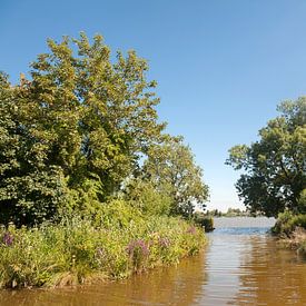Reeuwijkse Plassen van Richard Wareham