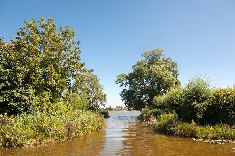 Reeuwijkse Plassen von Richard Wareham