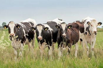 viermal hintereinander