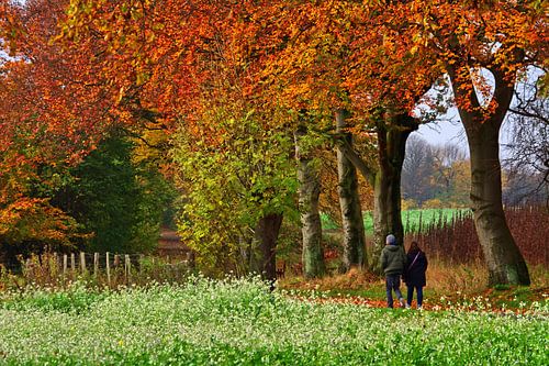 Herfstwandeling