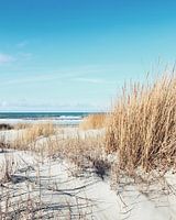 Vlieland-Dünen