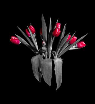 Tulipes gris rouge sur BAM