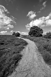 Hiking trail on the Posbank