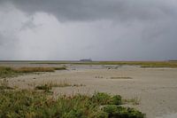 de kwelder langs de westerschelde bij laag tij in de winter op een stormachtige dag