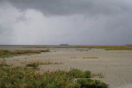 das Salzwiesengebiet entlang der West-Schelde bei Ebbe im Winter an einem stürmischen Tag. von Angelique Nijssen
